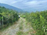 Bán Lô Đất Để Làm Nghỉ Dưỡng, Sẵn Sổ Hồng, Giá Rẻ Nhất Thị Trường Vị Trí Đẹp, Chủ Cần Gấp