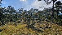 Hàng Ngộp Bán Rẻ 1200M2 Giá Bán 450 Triệu Tiện Phân Lô View Rừng Thông Đẹp Tp. Bảo Lộc