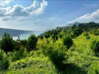 Hàng Ngộp Bán Rẻ 1200M2 Giá Bán 450 Triệu Tiện Phân Lô View Rừng Thông Đẹp Tp. Bảo Lộc