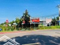 Bán Gấp Gấp (5X42=208,6M2) Sát Trường Cấp 1,2,3 Kcn Tq 630Ha 290 Triệu Dân Đông Đường 22M Suối Sau Lưng