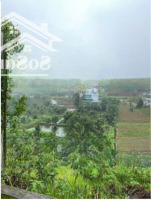 Bán Đất Đẹp Tại Phúc Thọ, Lâm Hà 482 M2, Uy Tín