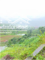 Bán Đất Đẹp Tại Phúc Thọ, Lâm Hà 482 M2, Uy Tín