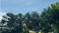 Bán 238 M2 Đất Tại Phúc Thọ, Lâm Hà Nhiều Tiện Ích