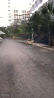 Em Tuấn Bán Hàng Trăm Lô Thổ Cư Sầm Sơn Có 1 Miếng Siêu Phẩm Muốn Nhường Lại Cho Người Hữu Duyên