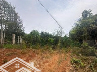 Bán Đất Vườn 2.500M² Trồng Sầu Riêng Láng Lớn, Châu Đức, Br-Vt Giá Chỉ 1 Tỷ/1.000M²