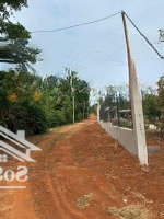 Bán Đất Vườn 2.500M² Trồng Sầu Riêng Láng Lớn, Châu Đức, Br-Vt Giá Chỉ 1 Tỷ/1.000M²
