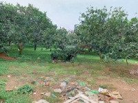 Bán Đất Vườn 1.000M² Mặt Tiền Nhựa Láng Lớn, Châu Đức, Br - Vt Giá Bán 1,35 Tỷ.