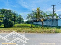 Bán Đất Nên Củ Chi Gần Chợ , Đầu Tư Sinh Lợi Nhuận Rất Cao