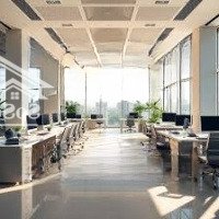Siêu Phẩm! Cho Thuê Nhà Mặt Phố Quán Thánh ,Diện Tích200M2X6 Tầngmặt Tiền7M, Kinh Doanh Mọi Mô Hình