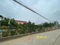 Chính Chủ Cần Bán Gấp 4 Lô Ngay Cạnh Đường Bộ Ven Biển Hải Phòng