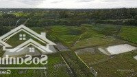 Nhà Vườn: Bán Đất: 41X54M ( 2303M2) 2 Sổ Riêng, 2Mặt Tiềnkênh Đông Và Đường Nội Bộ, Xã Trung Lập Thượng