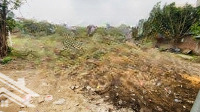 Bán Gấp Đất Tại Đường Thụy Lâm, Xã Thụy Lâm, Đông Anh, Hà Nội, 3,8 Tỷ, 64,7 M2, Đường Ô Tô Tránh