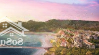 Căn 1 Phòng Ngủview Biển Tầng Cao Hoa Hậu Nhất Dự Án, Nhận Nhà Kinh Doanh Luôn Chỉ 1 Tỷ, Miễn Gốc Lãi 30Th
