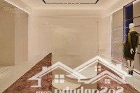 Cho Thuê Nhà Mặt Phố Phan Kế Bính 600M2 X 2 Tầng Mặt Tiền 10M Kinh Doanh Mọi Mô Hình Giá Chỉ 60 Triệu