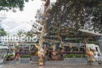 Cho Thuê Nhà Mặt Phố Phan Kế Bính 600M2 X 2 Tầng Mặt Tiền 10M Kinh Doanh Mọi Mô Hình Giá Chỉ 60 Triệu