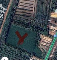 Bán Đấtdiện Tích9004M2 Tại Đt 838, Đông Thành, Đức Huệ, Long An, Giá Bán 20 Tỷ
