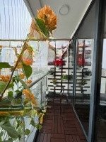 Tôi Muốn Bán Căn Hộ Thống Nhất Complex, 95M2, 3 Phòng Ngủ 2 Vs, Ban Công Hướng Mát, Đầy Đủ Nội Thất