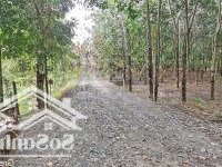 Bán 1000M2 Đất Giá Chỉ 180 Triệu Sổ Hồng Riêng Còn Thương Lượng. Bao Trọn Giấy Tờ Sang Tên
