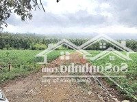 Bán 1000M2 Đất Giá Chỉ 180 Triệu Sổ Hồng Riêng Còn Thương Lượng. Bao Trọn Giấy Tờ Sang Tên