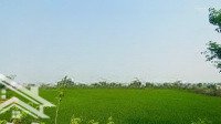 Đất Nghỉ Dưỡng 1Ha Giá Quá Rẻ Tại Lương Sơn, Hoà Bình