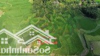 Đất Nghỉ Dưỡng 1Ha Giá Quá Rẻ Tại Lương Sơn, Hoà Bình