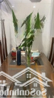 Bán Nhà Riêng 4 Phòng Ngủ 5 Vệ Sinh 70M2 Tại Nguyễn Thi, Hòa Cường Nam, Hải Châu, Đà Nẵng, 7 Tỷ