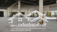 Cho Thuê Nhà Xưởng Khu Công Nghiệp Bàng, Bình Dương Từ 20.000M2 - 100.000M2