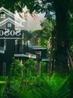 Quỹ Căn 3 Phòng Ngủ - Chung Cư Seaview Residences - Ecopark Vinh - Căn Hộ Đẹp Giá Tốt