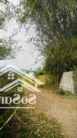 Bán Đất Tại Xã Mỹ Hoà, Tân Lạc, Hòa Bình, 700 Triệu, 550 M2 - Uy Tín, Hot!