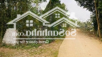 Bán Đất Tại Xã Mỹ Hoà, Tân Lạc, Hòa Bình, 700 Triệu, 550 M2 - Uy Tín, Hot!