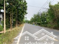 Bán Gấp Đất Đẹp Mặt Tiền Đường Bà Thiên, Xã Nhuận Đức, Củ Chi. Diện Tích 350M2 Ngang 5M. Giá Bán 2,3 Tỷ