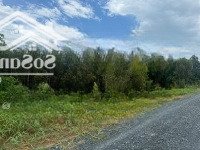 Chính Chủ Bán 2 Thửa Đất 240M2 - Mặt Tiền Đường 450 Triệu/Thửa, Gần Kênh Mát Mẻ, Sổ Đầy Đủ Tại Long An