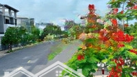 Cc Cần Bán Nhà Phố 3 Tầngmặt Tiềnđường 20M