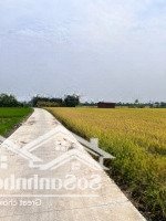 Bán Nhanh Lô F0 Vừa Lên Thổ Chưa Qua Đầu Tư Giá Bán 470 Triệu Công Chứng Ngay