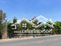 Mặt Tiền Duyên Hải 1217M2 Có Sẵn 300M2 Thổ Cư, Cách Lấn Biển 1Km