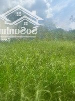 Bán Đất Tại Đường Tập Đoàn 4, Xã Tân Kim, Cần Giuộc, Long An, 1,9 Tỷ, 109,6 M2, Có Thương Lượng