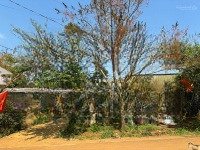 Bán Đất Tại Thị Trấn Măng Đen, Kon Plông, Kon Tum, 2,7 Tỷ, 125M2