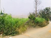 Cần Bán Lô Góc 2 Mặt Tiền Siêu Tiềm Năng
Diện Tích 160.8M Ont/ Thổ Cư 96.9M
Phù Hợp Kinh Doanh
