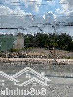 2 Lô Giá Gốc Ở Đinh Đức Thiện, Bình Chánh 560 Triệu/100M2. Kdc Đông Đúc.shr, Full Thổ Cư, Pháp Lý Chuẩn