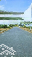 Bán Gấp Lô Đất Mặt Tiền Đường Dt835 Phước Lợi Bến Lức Long An 550 Triệu/120M2 Sổ Hồng Riêng,Thổ Cư 100%