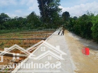 Bán Đất Tại Hà Long, 650 Triệu, 130M2, Thanh Hóa