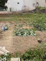 Bán Đất Đồng Nhân , Hải Bối , Đông Anh, 185M2, Ô Tô Tránh _Kinh Doanh .0912.237.306