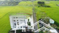 296M2 Đất Mặt Tiền Chợ Mỹ Thuận Tiện Kinh Doanh Mọi Ngành Nghề