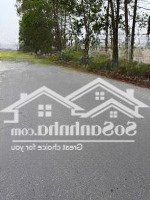 Chính Chủ Gửi Bán Hộ Lô 95M Khu Đấu Giá Tân Thái, Hiền Ninh, Sóc Sơn