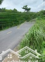 Bán 500M2 Đấtmặt Tiềnđường Thanh Niên, Huyện Bình Chánh, Giá Chỉ 8,2 Tỷ
