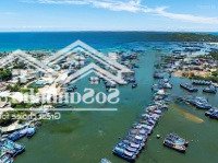 400M2 Thổ Cư, 11M Mặt Tiền Hàm Tử, Khu Phố Cảng Tam Quan Bắc, Ngay Cảng Cá