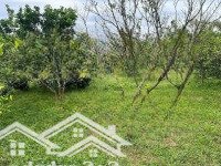 Rẻ Nhất Tiến Xuân
Cần Bán 1800 M Thổ Cư 200 Còn Lại Là Đất Vườn - - Tại Tiên Xuân Thạch Thất - Xu
