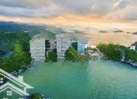 Sốc 1,85 Tỷ Căn Hộ Flamingo Cát Bà 40M2, Ban Công Rộng, Lợi Nhuận Ngay