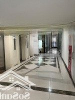 Tập Đoàn Hải Phát Cho Thuê Gấp Sàn Vp Tổ Hợp Roman Plaza - Mỗ Lao, S 50M2 Đến 276M2, Giá 210K/M2