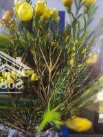 Phường Kỳ Thịnh Gần Vinfad Xe Điện Kỳ Anh